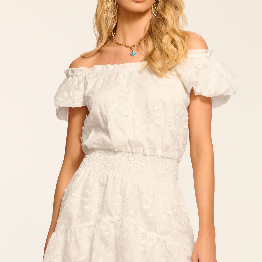 open lace back dress Verona Embroidered Organza Mini Dress in ivory organza