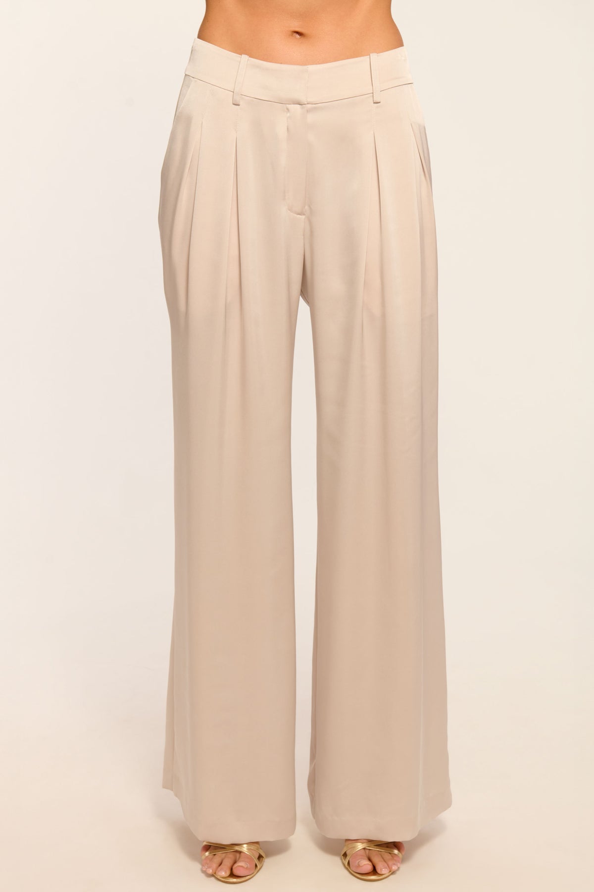 Oscar Pleated Wide Leg Pant view 1