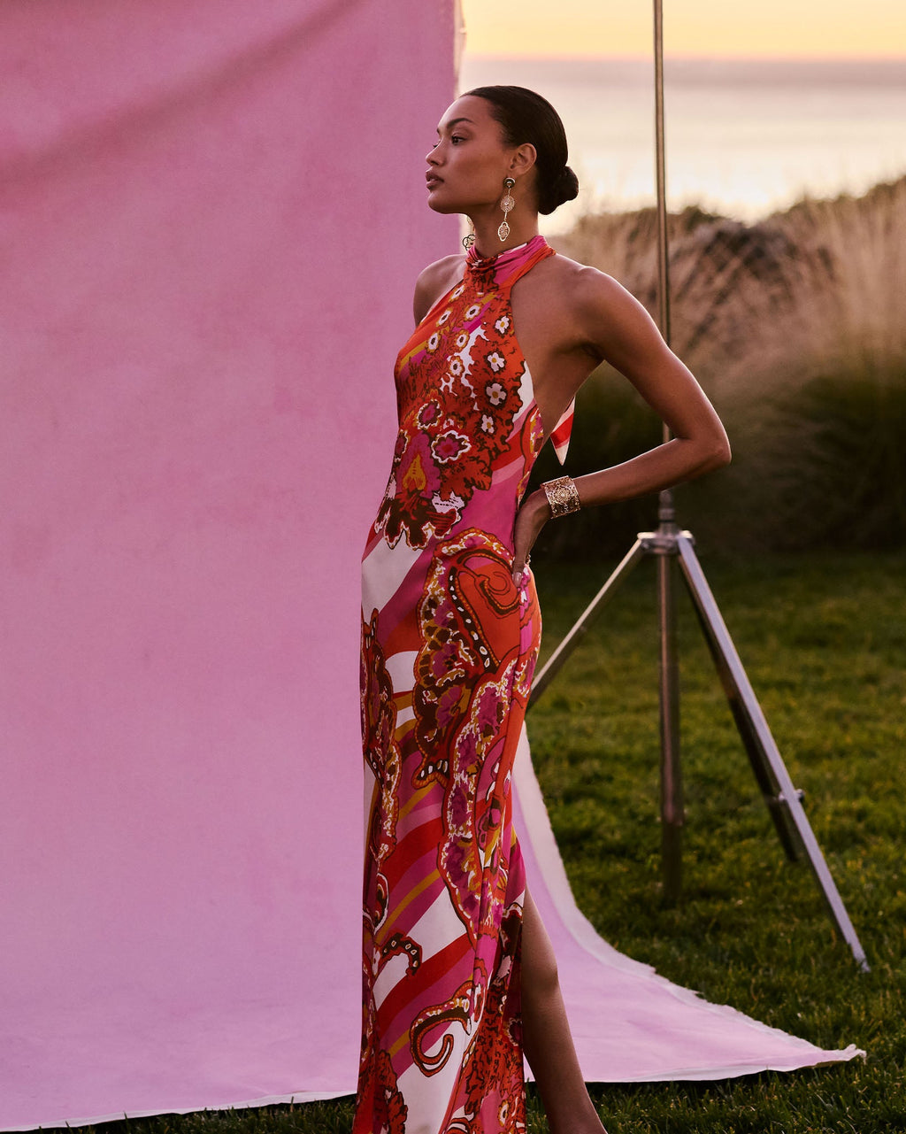 Tatiana Printed Silk Halter Gown in fiesta multi | Ramy Brook Tatiana Printed Silk Halter Gown in fiesta multi | Ramy Brook