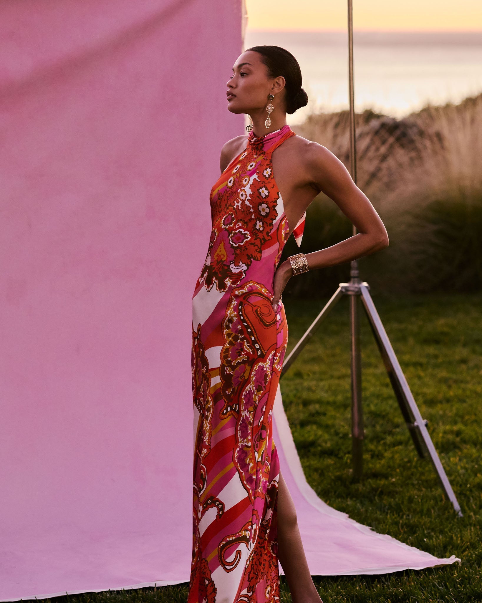 Tatiana Printed Silk Halter Gown in fiesta multi | Ramy Brook Tatiana Printed Silk Halter Gown in fiesta multi | Ramy Brook