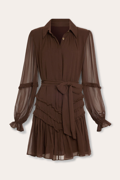 Maya Silk Ruffled Long Sleeve Dress view 5