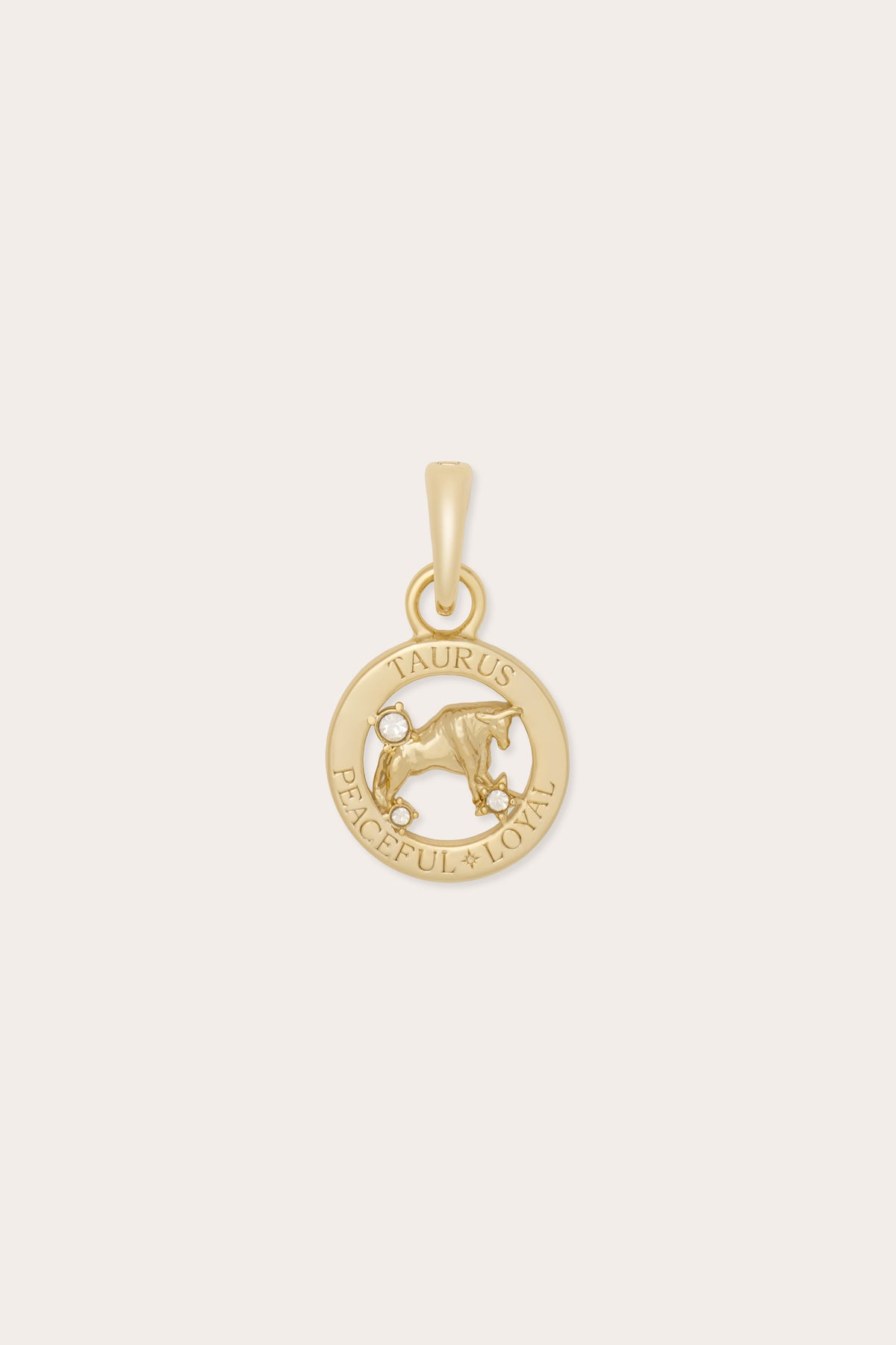 Taurus Charm view 1