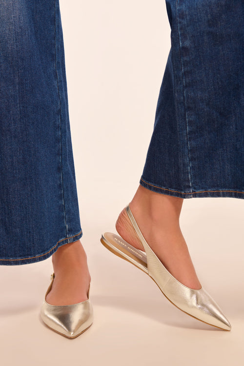 Ereka Pointed Toe Flat view 1