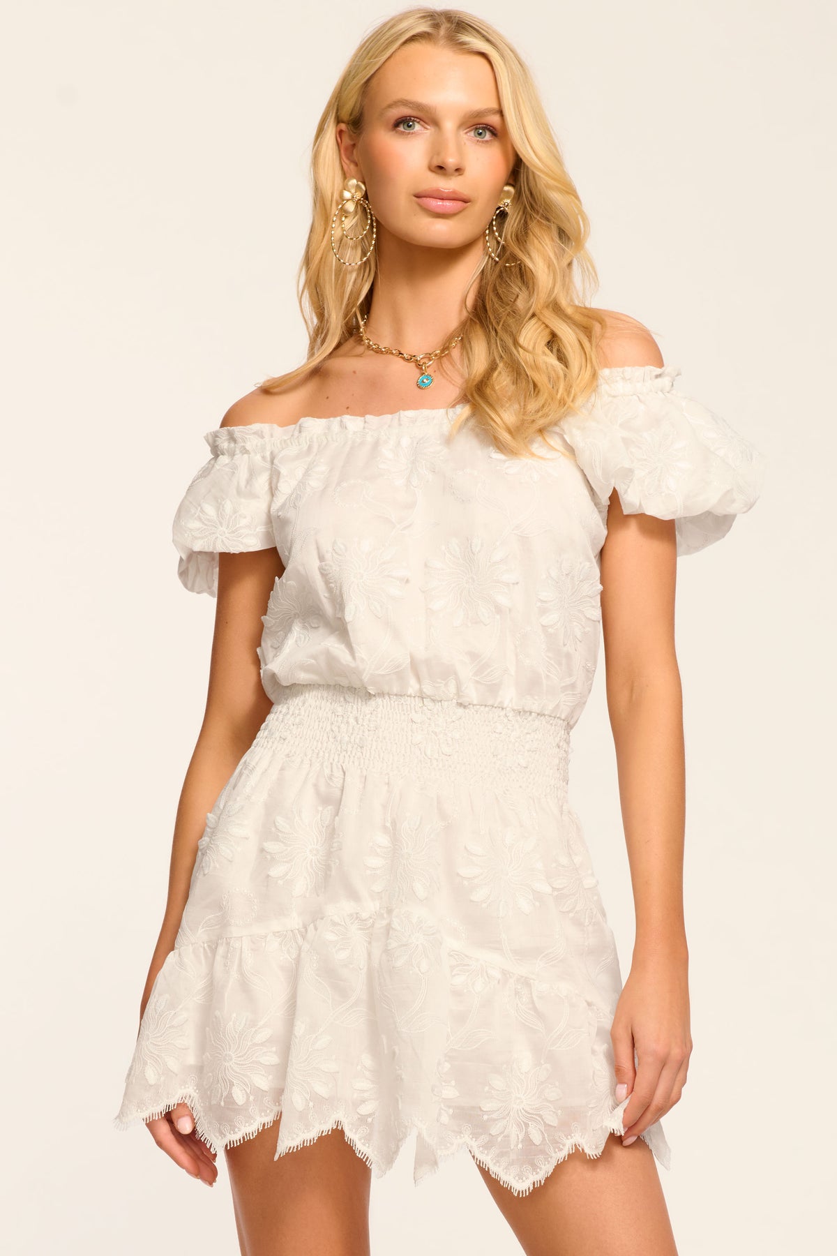 Verona Embroidered Organza Mini Dress view 1