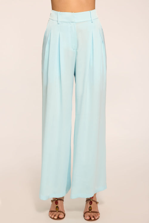 Oscar Pleated Wide Leg Pant view 1