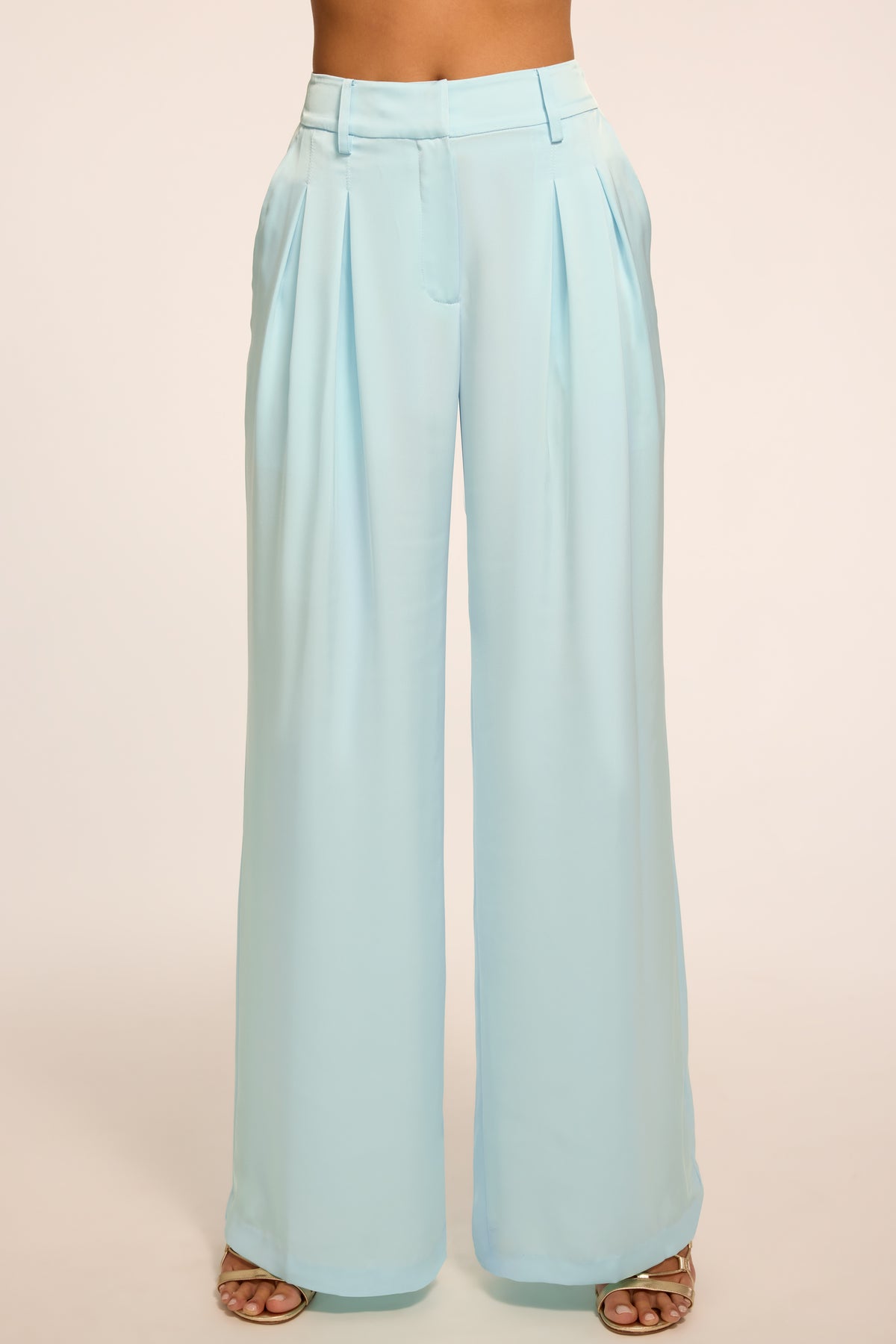 Oscar Pleated Wide Leg Pant view 1
