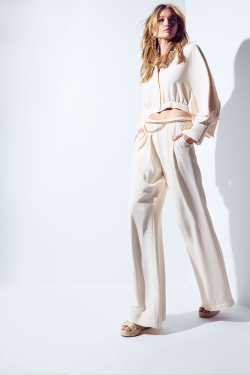 Yasmine Wide Leg Pleated Pant view 2
