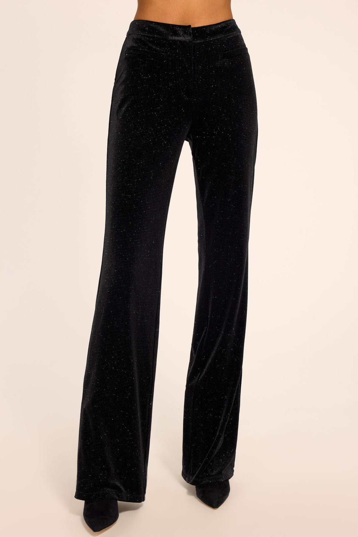 Fern Metallic Wide Leg Pant view 1