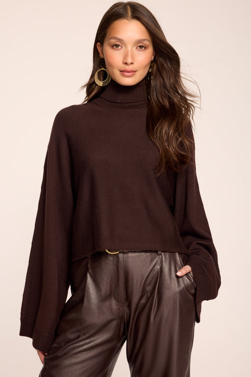 Aaliyah Turtleneck Sweater view 1